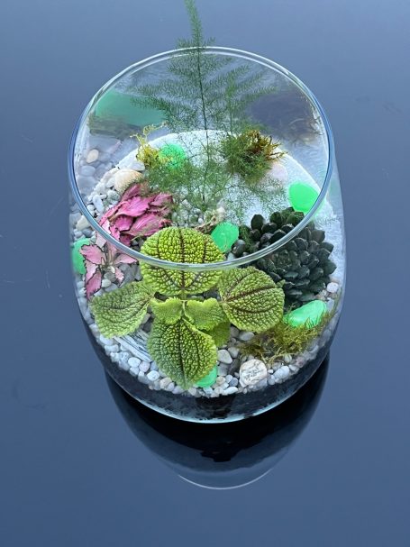 Open Terrarium Large