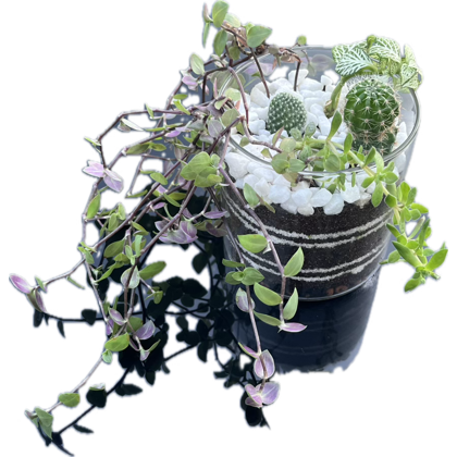 Layered Open Terrarium