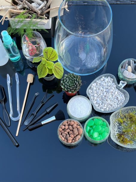 Open Terrarium & Tools